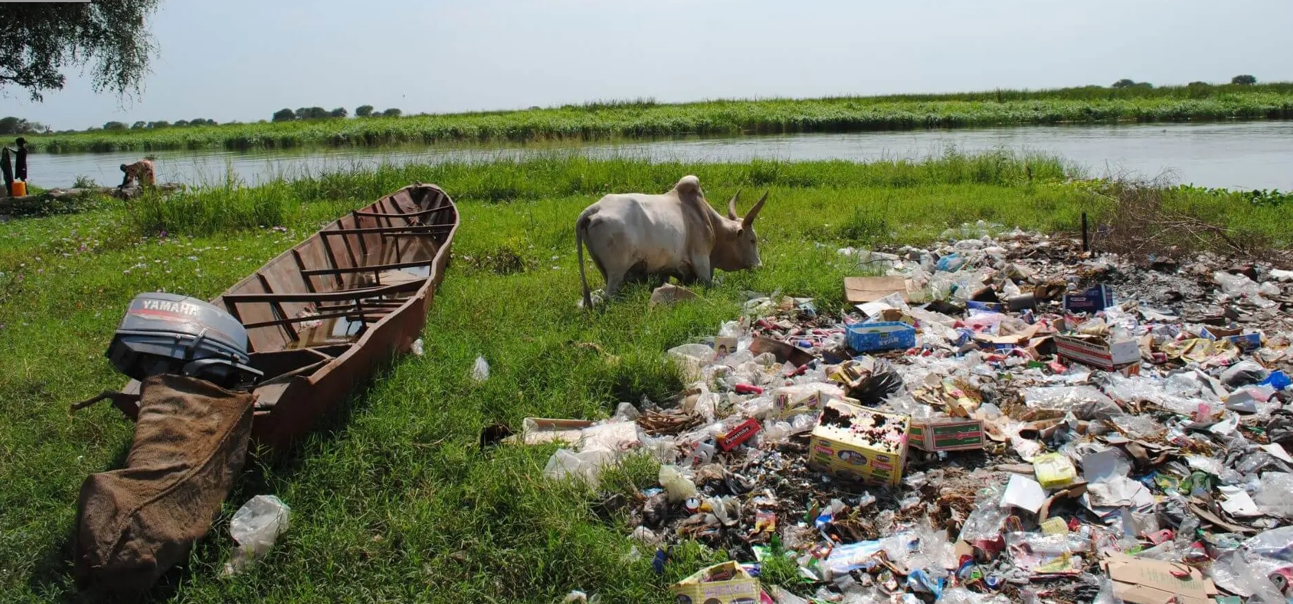 La presencia de residuos en áreas cercanas a fuentes de agua puede comprometer tanto la salud de los animales como la de las comunidades vulnerables que dependen de estos recursos para su sustento. Comunidad ribereña junto al Nilo Blanco en Old Fangak, Sudán del Sur. Fuente: Isra Cruz - Comunidad ribereña junto al Nilo Blanco en Old Fangak, Sudán del Sur Publicado por Isra Cruz